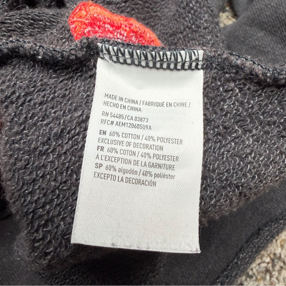 American Eagle Outfitters Floral Embroidered Hoodie Sweatshirt Dark Gray Large L - Picture 6 of 9